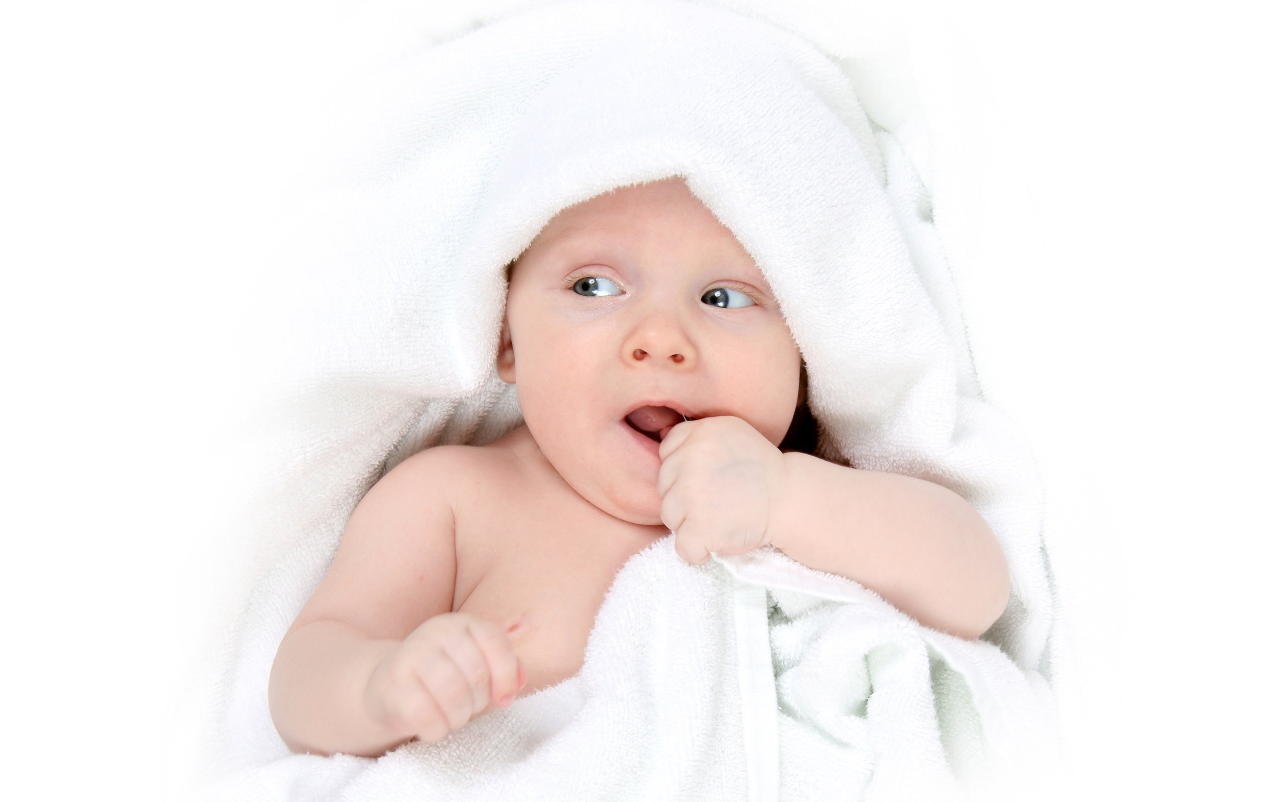 代怀生子助孕机构试管婴儿 卵泡过多